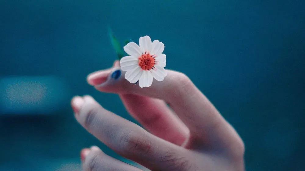 1624680467900778.jpeg 微信图片_20210626120733.jpg