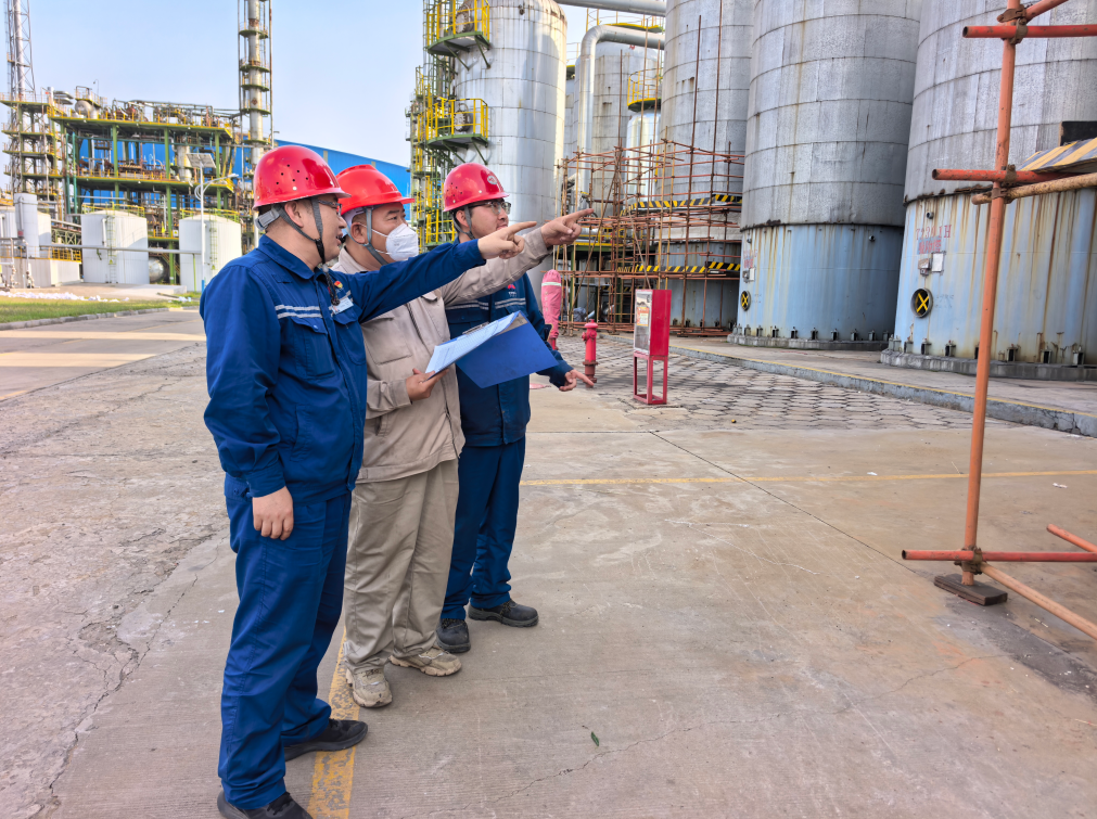 1768812722529762.png 12.png