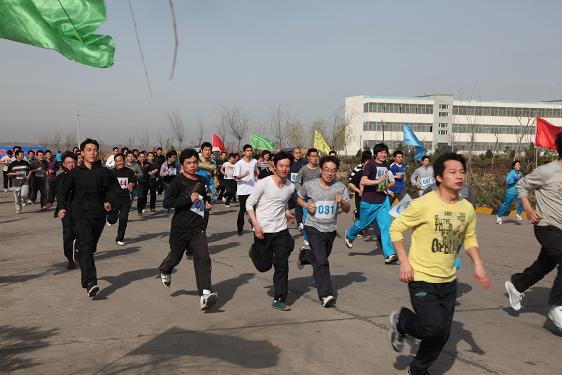 ����ѡ�������ڱ���