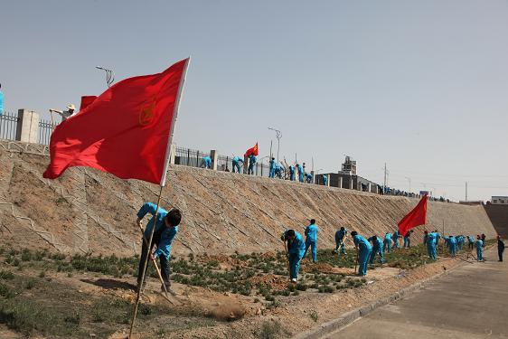 ֲ����ֳ�