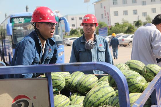 HJC�ƽ�ǡ�����(�й���)Ψһ�ٷ���վ