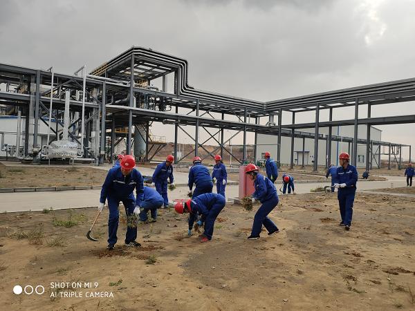 HJC�ƽ�ǡ�����(�й���)Ψһ�ٷ���վ