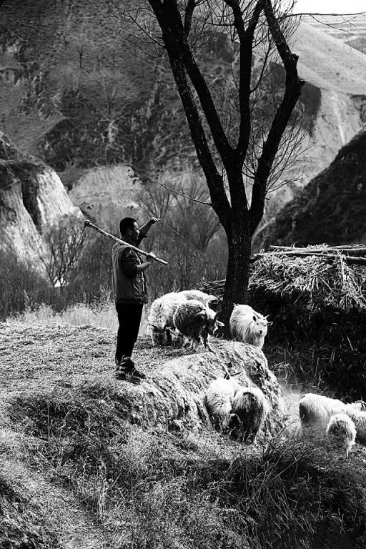 HJC�ƽ�ǡ�����(�й���)Ψһ�ٷ���վ